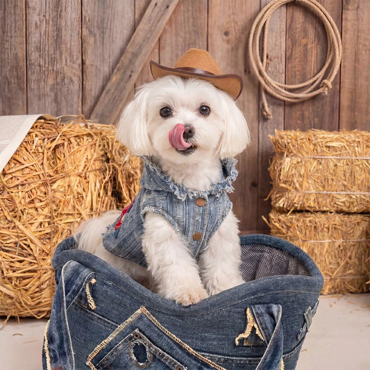 Pet Denim Clothing With Embroidered Pony Pattern For Small Animals