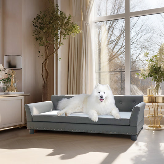 BINGOPAW Elevated Dog Sofa Bed With Removable Cushion