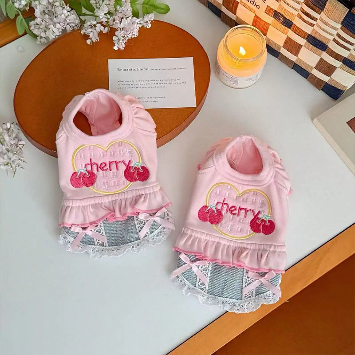 Denim Skirt Vest Outfit for Dogs Spring Outdoor Pet Apparel