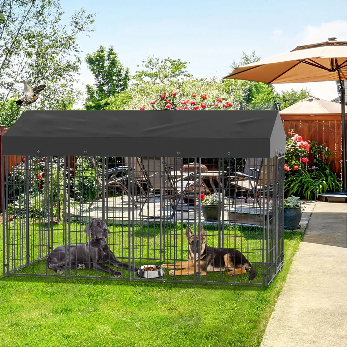 Outdoor Dog Kennel Enclosure With Roof And Playpen