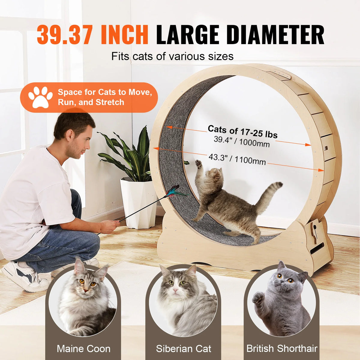 Wooden Cat Exercise Wheel For Indoor Running Activity
